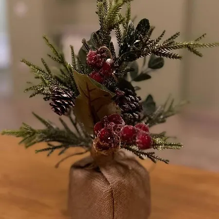 Apartment Olive With Terrace B100 In Grand