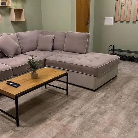 Olive With Terrace B100 In Grand * Pamporovo