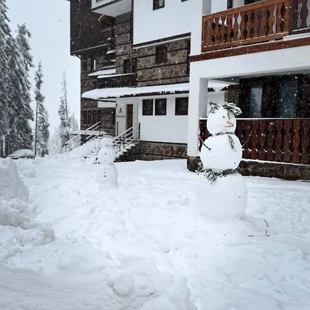 Olive Grand 8 To 10 Guests Balcony Parking Apartment Pamporovo