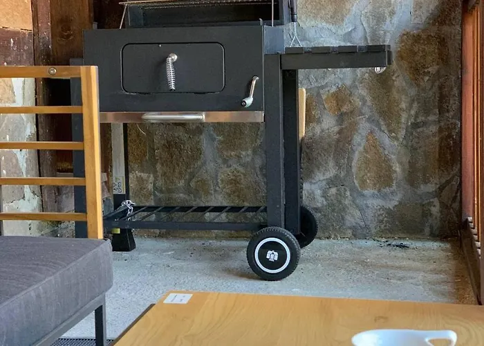 Apartment Olive With Terrace B100 In Grand *