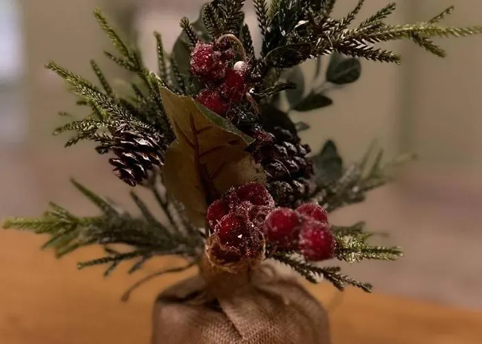 Appartement Olive With Terrace B100 In Grand