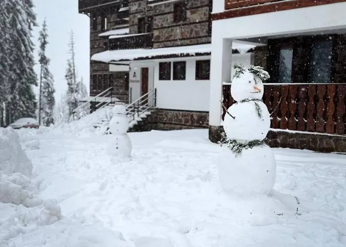 Olive With Terrace B100 In Grand Appartement Pamporovo